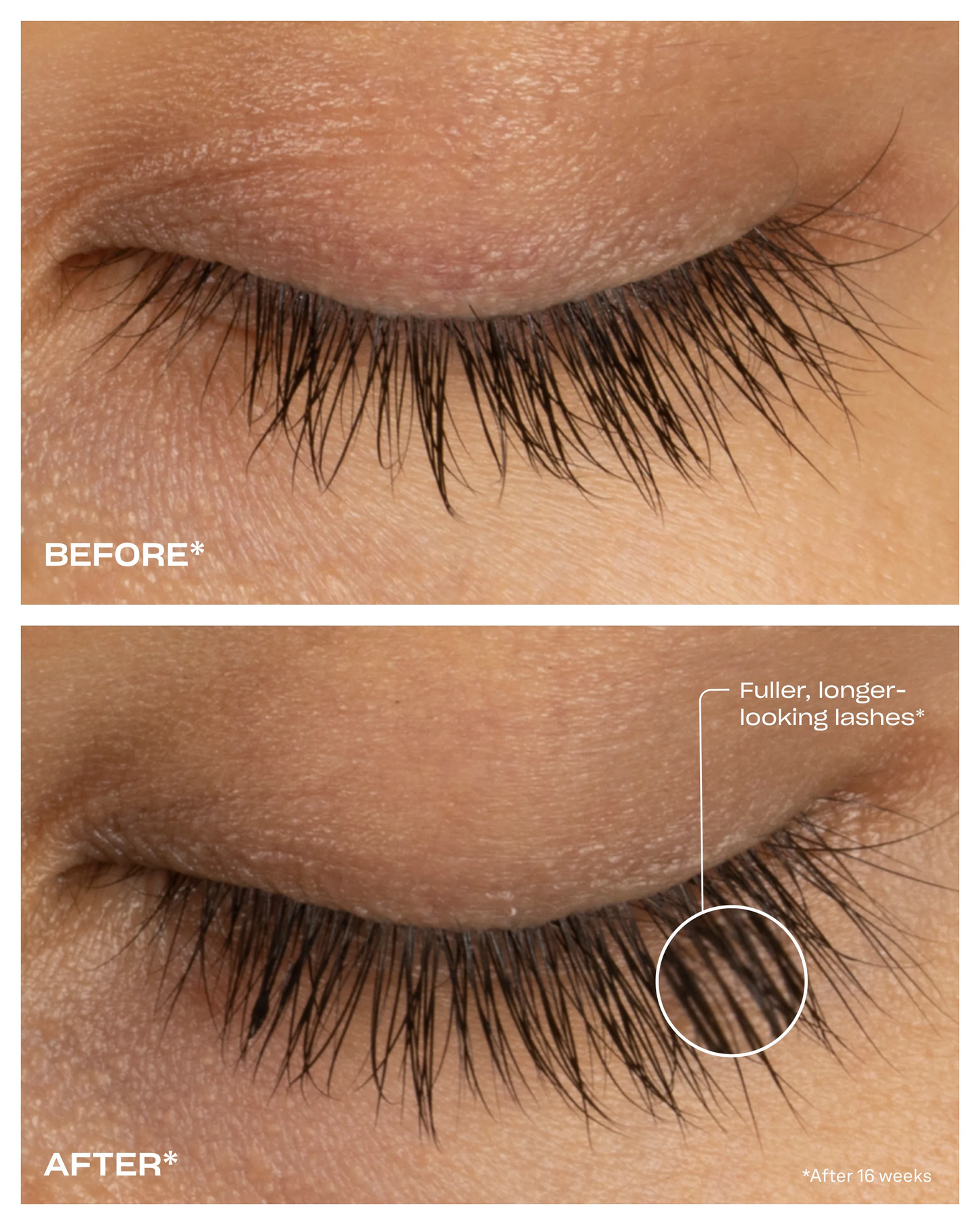 Renewing Lash Serum(4 Month Supply 6 mL)