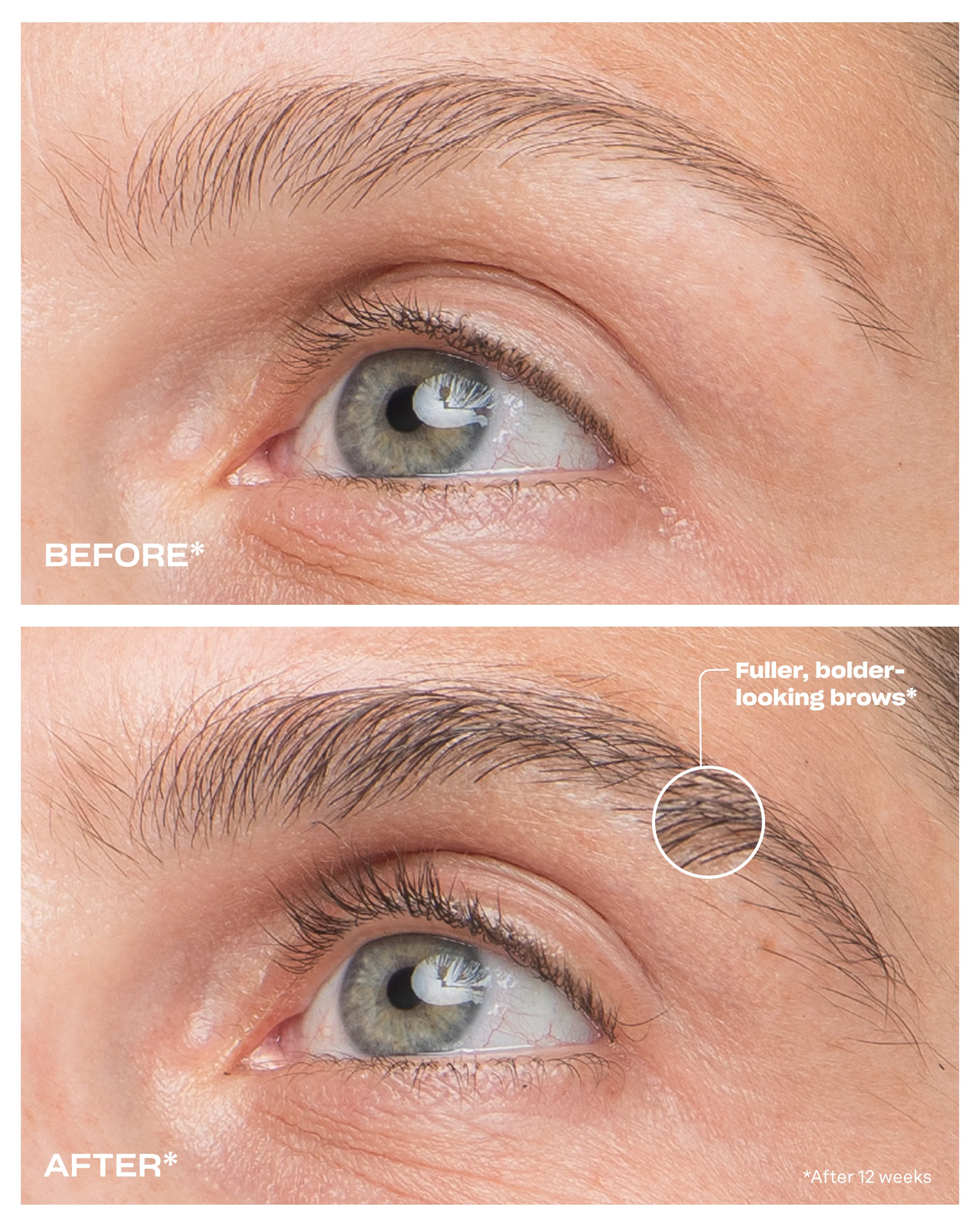 Amplifying Brow Serum(3 Month Supply 3 mL)